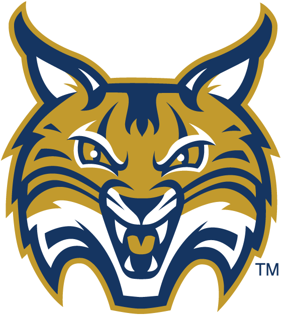 Quinnipiac Bobcats 2002-2018 Secondary Logo iron on paper